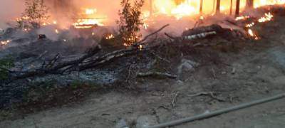 Тушить лесные пожары в Карелии отправятся волонтеры от партии «Новые люди»