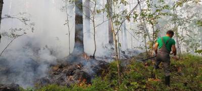 Горит лес по дороге в санаторий "Марциальные воды" в Карелии – нужны волонтеры