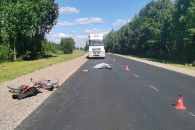 Водитель из Карелии на КАМАЗе раздавил велосипедиста в Архангельской области