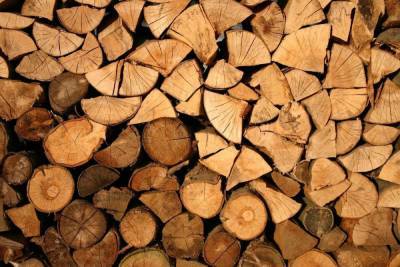 В Псковской области выявили преступную схему экспорта лесоматериалов