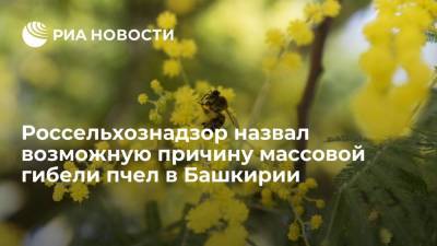 Россельхознадзор: массовая гибель пчел в Башкирии связана с обработкой полей пестицидами