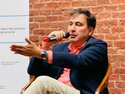 Саакашвили раскритиковал главу Госгеонедр за остановку гранитного карьера в Житомирской области