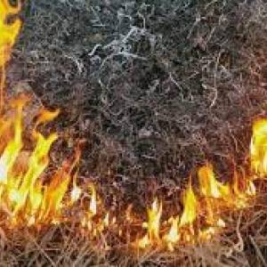 В Запорожье и области объявлена чрезвычайная пожарная опасность