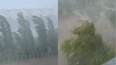 Харьков накрыл ураган: ветер валил деревья, а улицы ушли под воду