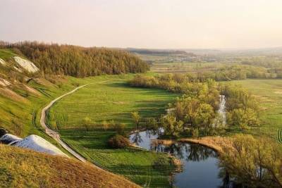 К 2030 году лесов в Белгородской области станет больше на 15%