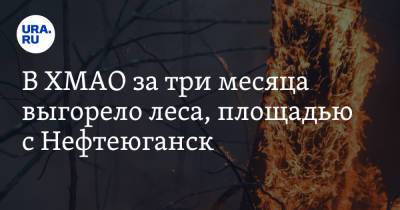 В ХМАО за три месяца выгорело леса, площадью с Нефтеюганск