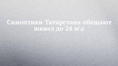 Синоптики Татарстана обещают шквал до 24 м\с