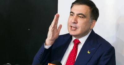 "Нужно поставить чиновников на место": Саакашвили раскритиковал Опимаха за остановку карьера на Житомирщине