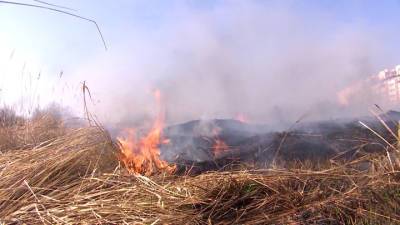 Пожаром на полигоне ТКО в Янтарном крае займется Росприроднадзор