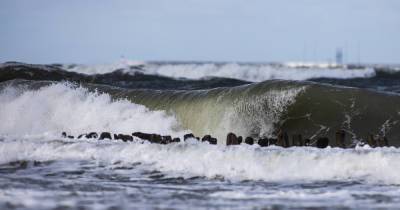 «Иногда тонущего спасти невозможно»: эксперты рассказали о причинах трагедий в Балтийском море