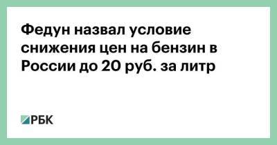 Федун назвал условие снижения цен на бензин в России до 20 руб. за литр