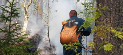 Лесной пожар по дороге в санаторий "Марциальные воды" в Карелии локализован