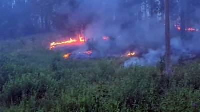 Более 600 человек эвакуировали в Карелии из-за лесных пожаров
