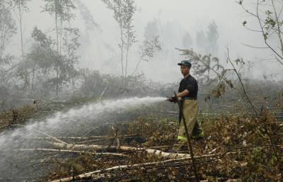 Опасность возгорания травы, торфяников и лесных массивов сохраняется в Тверской области