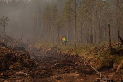 Для тушения лесных пожаров в Карелию прибыли спасатели из Архангельска