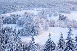 Украинцам дали прогноз на зиму
