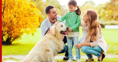 Семейные породы: какие собаки хорошо уживаются с детьми