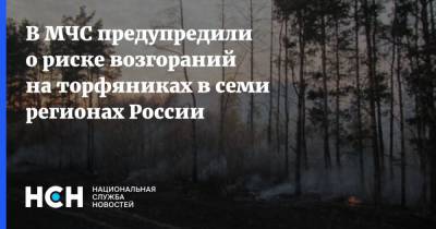 В МЧС предупредили о риске возгораний на торфяниках в семи регионах России