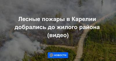 Лесные пожары в Карелии добрались до жилого района (видео)