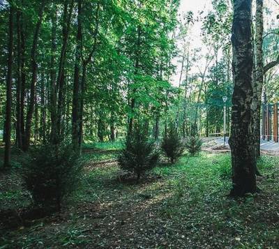 Часть деревьев высадят в нижегородском парке «Швейцария» осенью