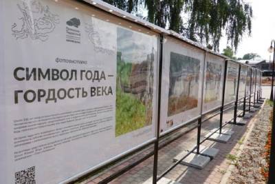 Выставка фотографий зубров открылась в Серпухове