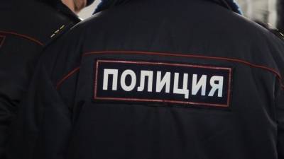 В МВД раскрыли подробности задержания женщины на юге Москвы