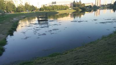 Оператор Пулково вновь отбился от иска из-за загрязнения реки Новой