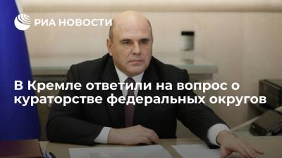 Пресс-секретарь президента Песков: Мишустин заранее информировал Путина о кураторстве округов