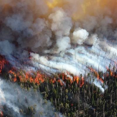 Более 100 спасателей будут защищать от лесного пожара посёлок в Карелии
