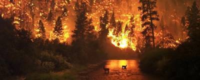 Природные пожары в Якутии угрожают Светлинской ГЭС