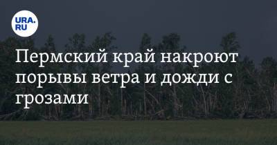 Пермский край накроют порывы ветра и дожди с грозами