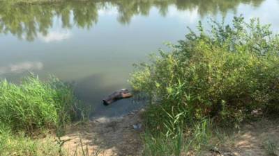 Плавали на бревне: девочки-близнецы утонули в Волгоградской области
