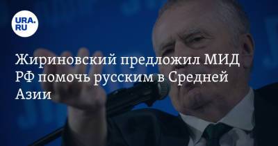 Жириновский предложил МИД РФ помочь русским в Средней Азии