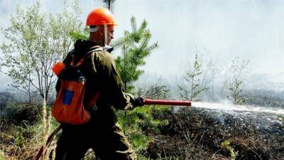К борьбе с пожаром у поселка в Карелии привлекли почти 300 человек