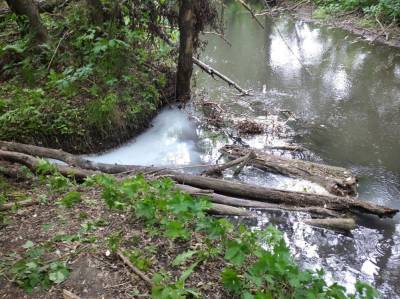 В Тереньге в реку Баромытка незаконно сливают сточные воды