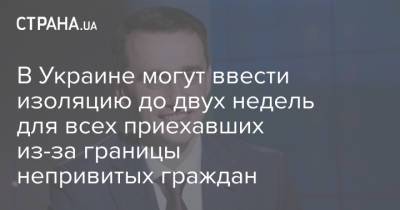 В Украине могут ввести изоляцию до двух недель для всех приехавших из-за границы непривитых граждан