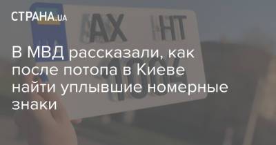 В МВД рассказали, как после потопа в Киеве найти уплывшие номерные знаки