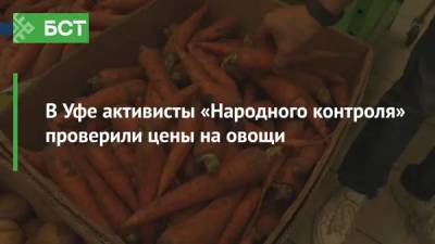 В Уфе активисты «Народного контроля» проверили цены на овощи