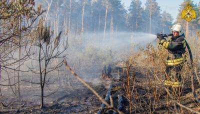 В Тверской области с начала пожароопасного периода произошло 19 природных пожаров