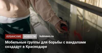 Мобильные группы для борьбы с вандалами создадут в Краснодаре
