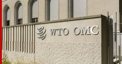 Еврокомиссия начала спор с Россией в ВТО из-за ограничений на поставки