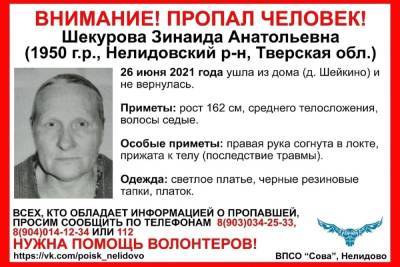 Автомобилистов просят помочь в поисках пропавшей в Тверской области пенсионерки