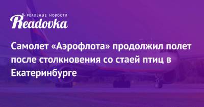 Самолет «Аэрофлота» продолжил полет после столкновения со стаей птиц в Екатеринбурге