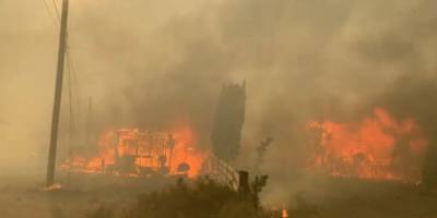 В Канаде из-за аномальной жары лесной пожар уничтожил деревню