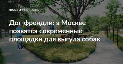 Дог-френдли: в Москве появятся современные площадки для выгула собак