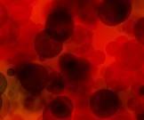 Коронавирус способен изменить структуру клеток крови