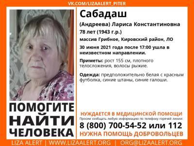 В Кировском районе без вести пропала 78-летняя женщина