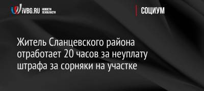 Житель Сланцевского района отработает 20 часов за неуплату штрафа за сорняки на участке - ivbg.ru - Украина - Ленинградская обл. - район Сланцевский