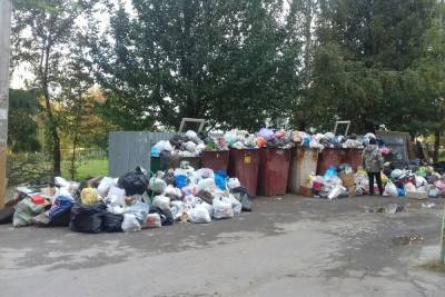 Заросшие мусором контейнеры в деревне под Тверью привлекли внимание прокуратуры
