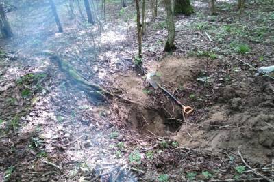 В Арсеньевском районе Тульской области поисковики обнаружили останки красноармейцев